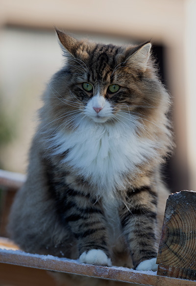 Angela - 18 months old