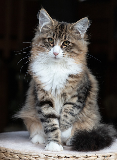 Angela - 6 months old