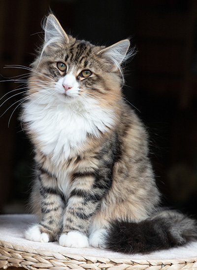 Angela - 6 months old
