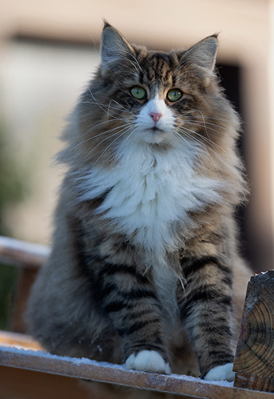 Angela - 18 months old