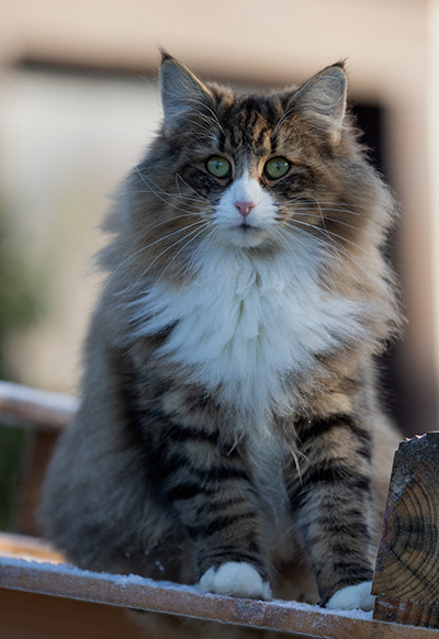 Angela - 18 months old