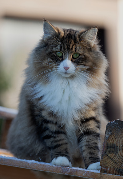 Angela - 18 months old