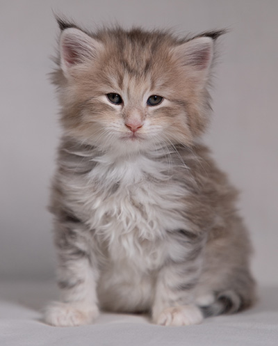 Benneth - 5 weeks old