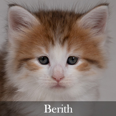 Berith