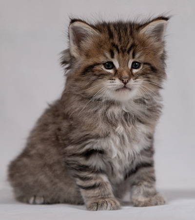 Birgit - 5 weeks old