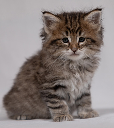 Birgit - 5 weeks old