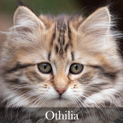 Othilia