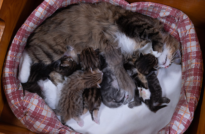 Alrik - At birth