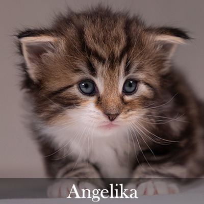 Angelika