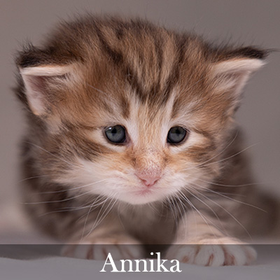 Annika