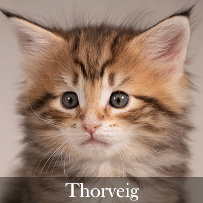 Thorveig