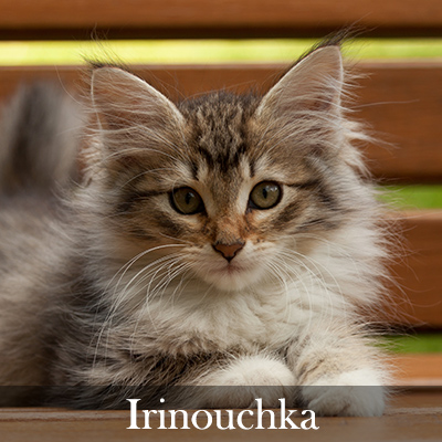 Irinouchka