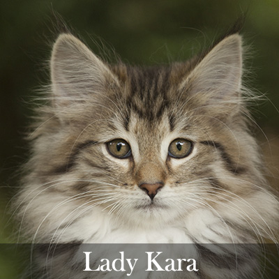 Lady Kara