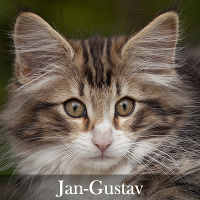 Jan-Gustav
