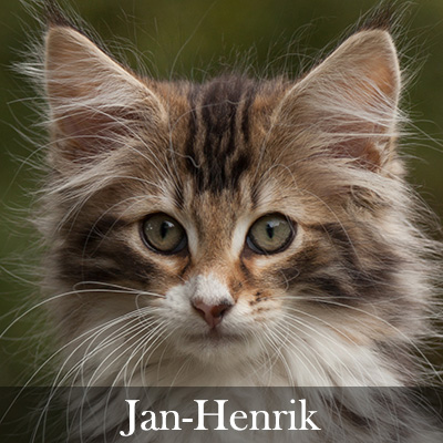 Jan-Henrik