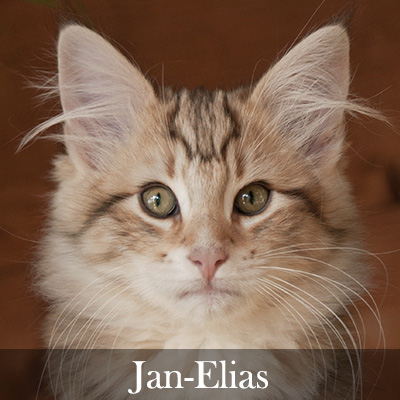 Jan-Elias