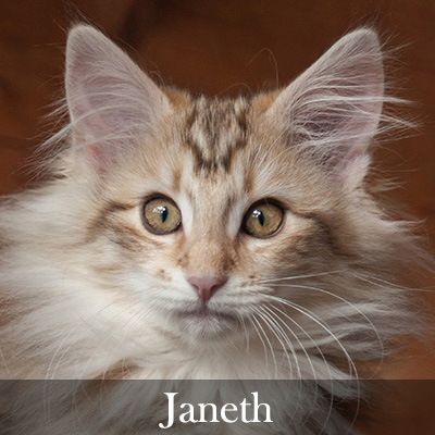 Janeth