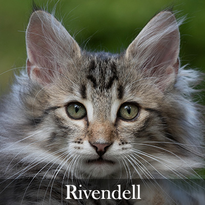 Rivendell