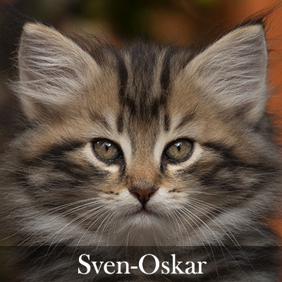 Sven-Oskar