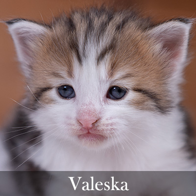 Valeska