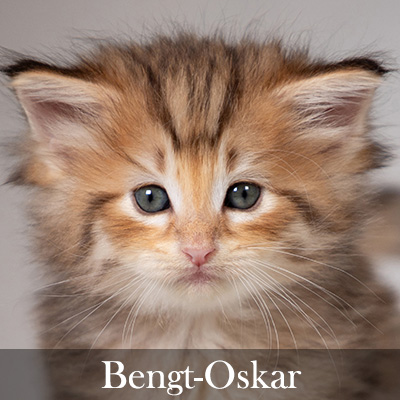 Bengt-Oskar