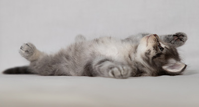Betsy-Ann - 4 weeks old