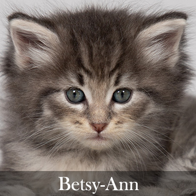 Betsy-Ann