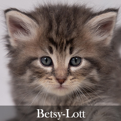 Betsy-Lott