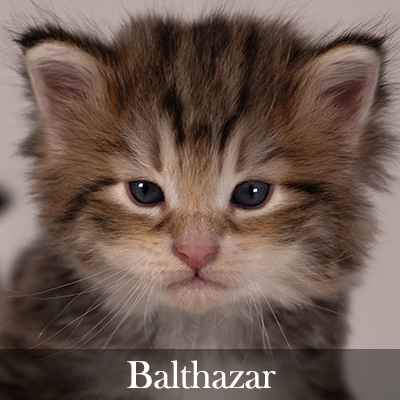 Balthazar