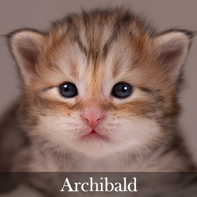 Archibald